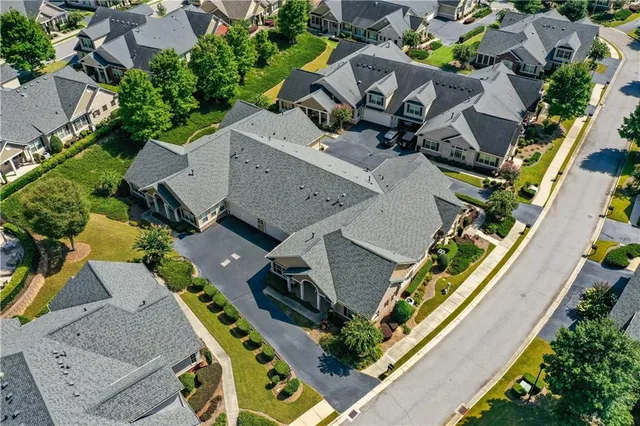 a view of a garden with plants and trees
