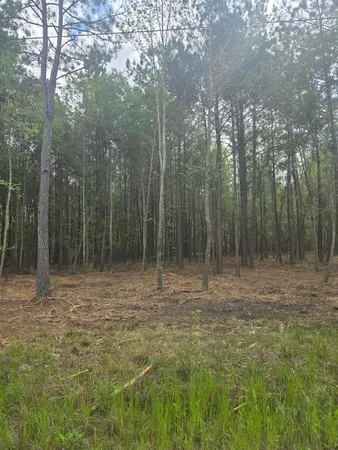 $35,000 | 0 Whitestone Drive, Reevesville, SC 29471