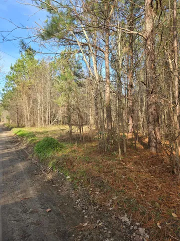 $45,000 | 0 Whitestone Drive, Reevesville, SC 29471