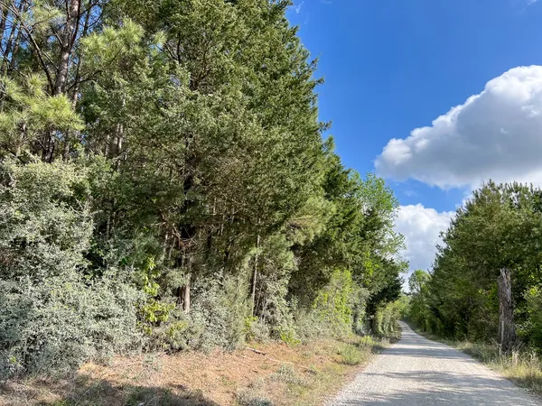 $270,000 | 2 Cr 4280 Woodville Tx 75979, Woodville, TX 75979