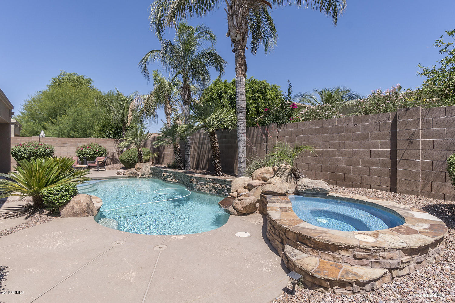 4702 East Decatur Street Mesa, AZ 85205 - Photo 22 of 26 Luxurious Pool and Spa