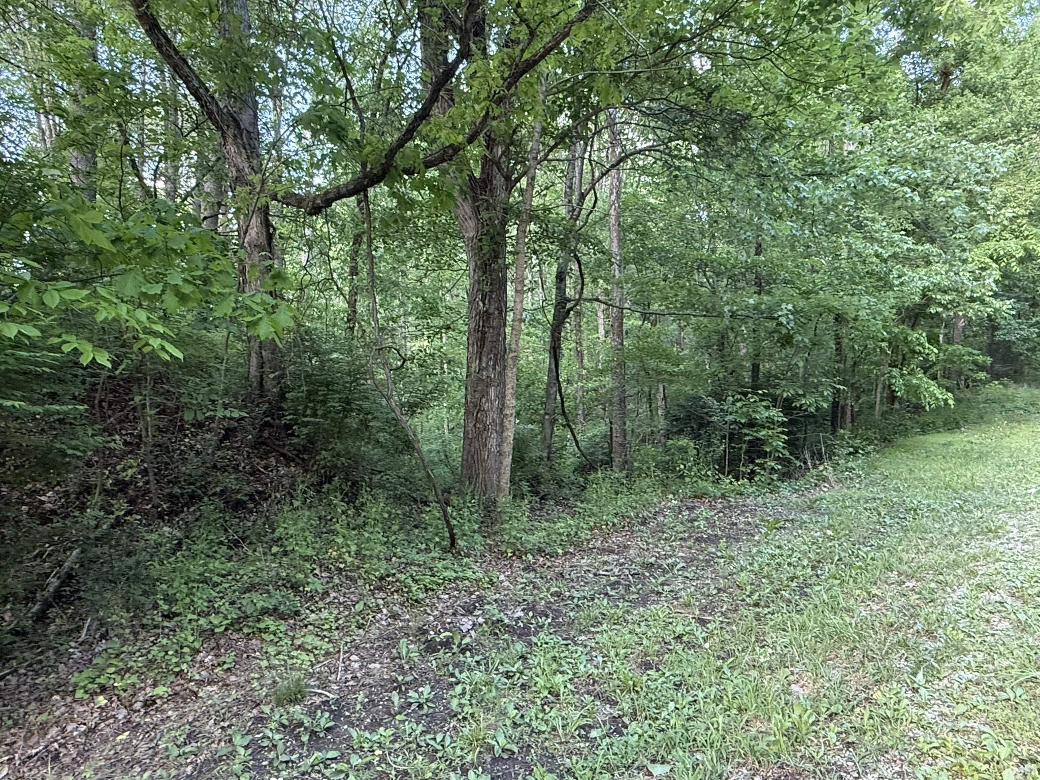 0 Hunsaker Road Boonville, IN 47601 - Photo 11 of 23