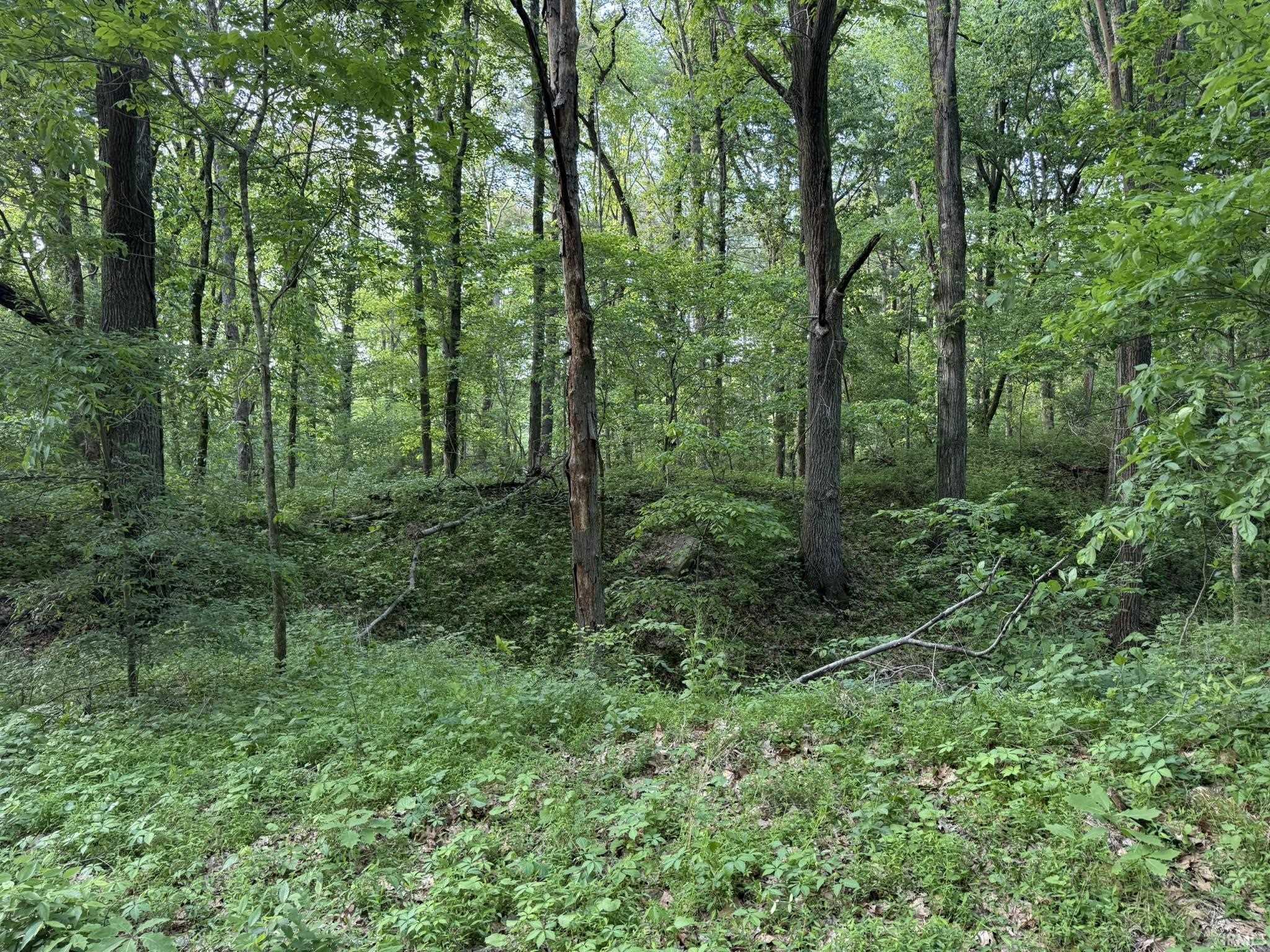 0 Hunsaker Road Boonville, IN 47601 - Photo 5 of 23