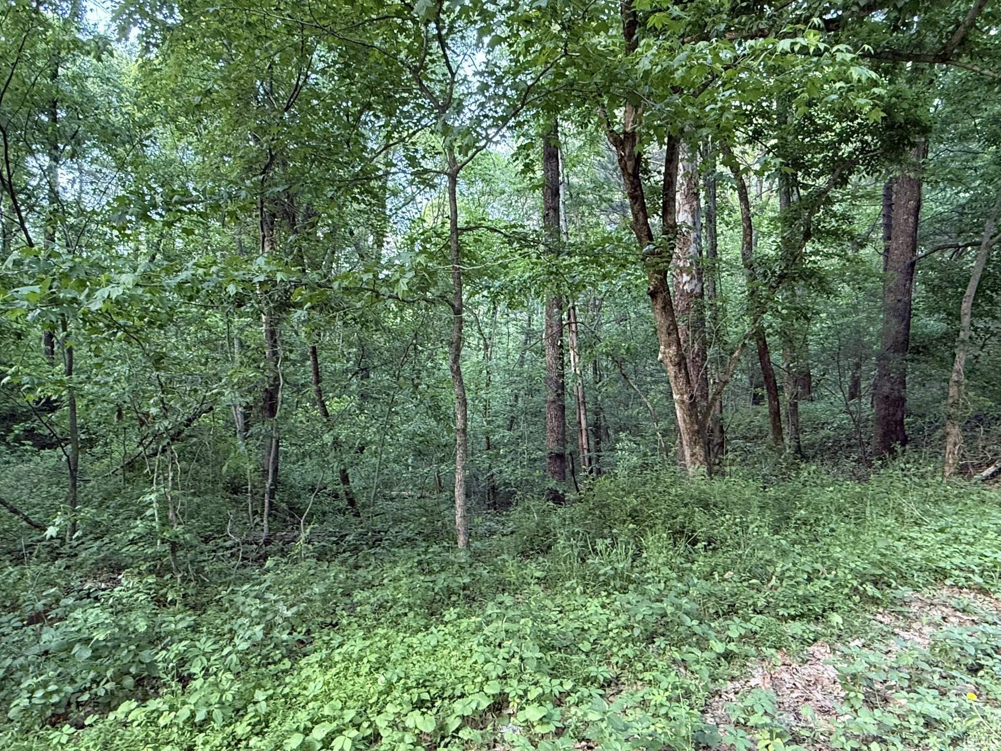 0 Hunsaker Road Boonville, IN 47601 - Photo 6 of 23