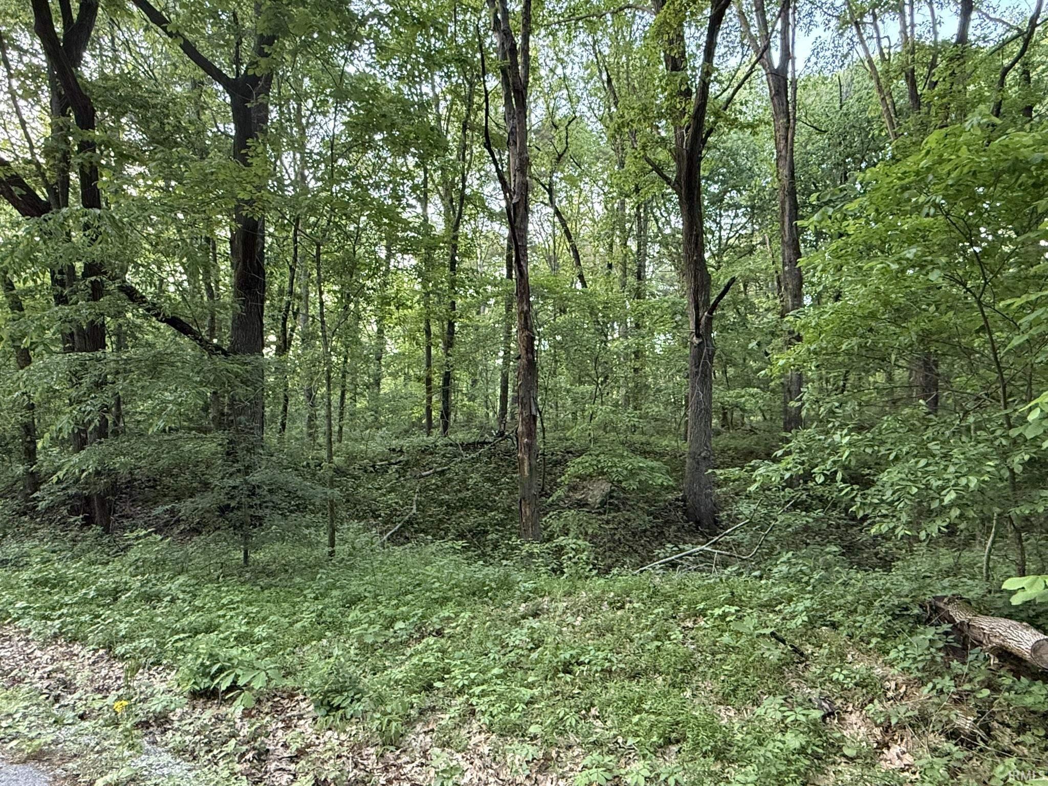 0 Hunsaker Road Boonville, IN 47601 - Photo 7 of 23