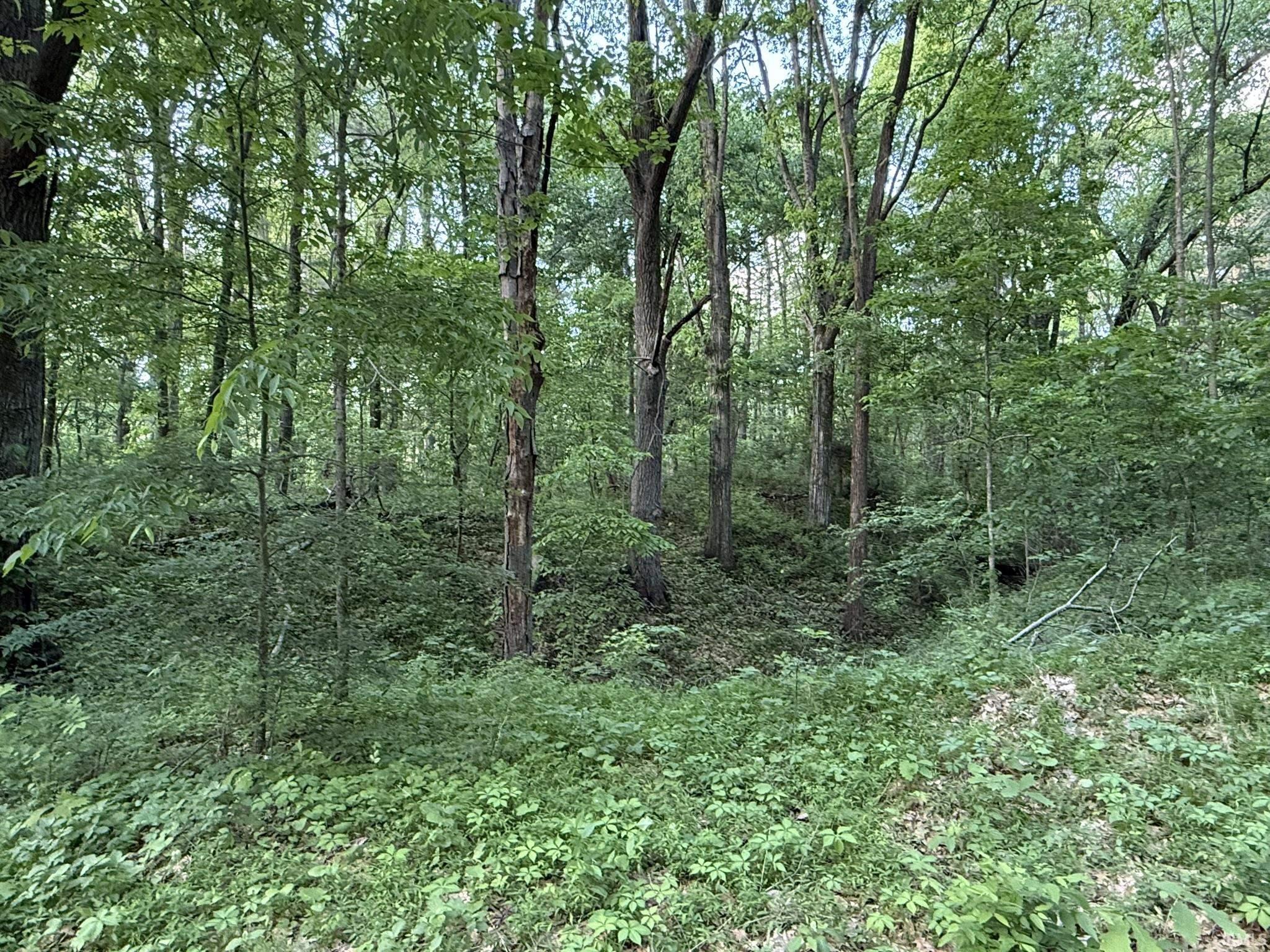 0 Hunsaker Road Boonville, IN 47601 - Photo 8 of 23