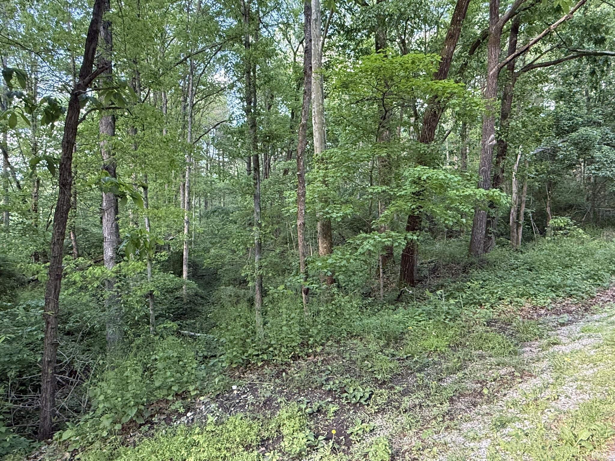 0 Hunsaker Road Boonville, IN 47601 - Photo 10 of 23