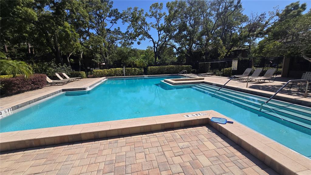 406 Lennox Road West Palm Harbor, FL 34683 - Photo 37 of 40 a view of swimming pool with chairs in patio