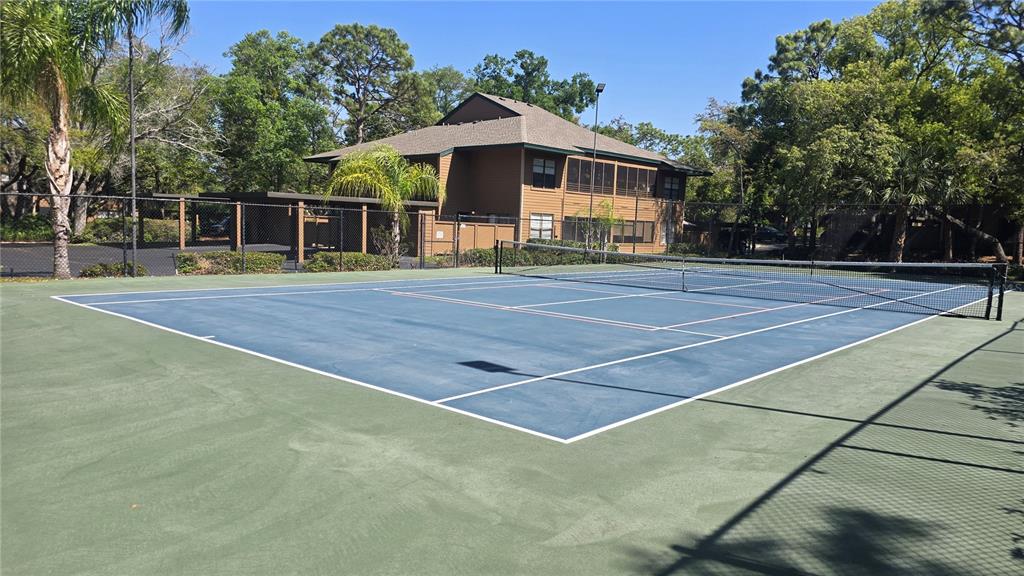 406 Lennox Road West Palm Harbor, FL 34683 - Photo 40 of 40 a view of a tennis ground with a large trees