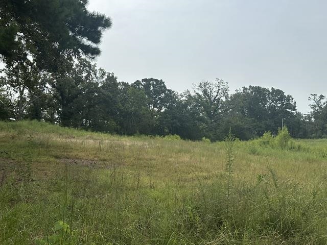 11 Drake Loop Savannah, TN 38372 - Photo 2 of 3 Gallery Image 2