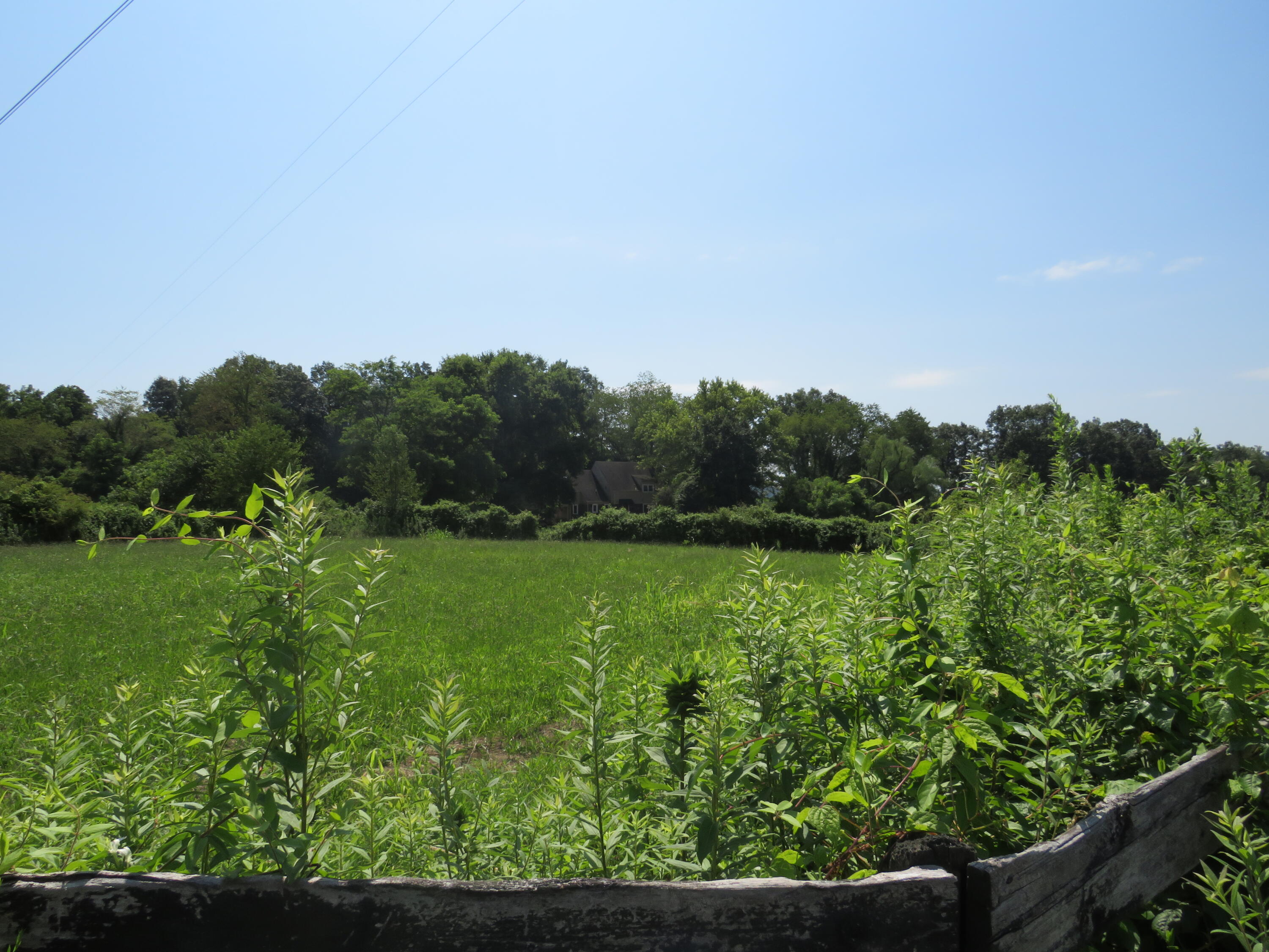 504 Nantz Road London, KY 40741 - Photo 22 of 60 IMG_5032