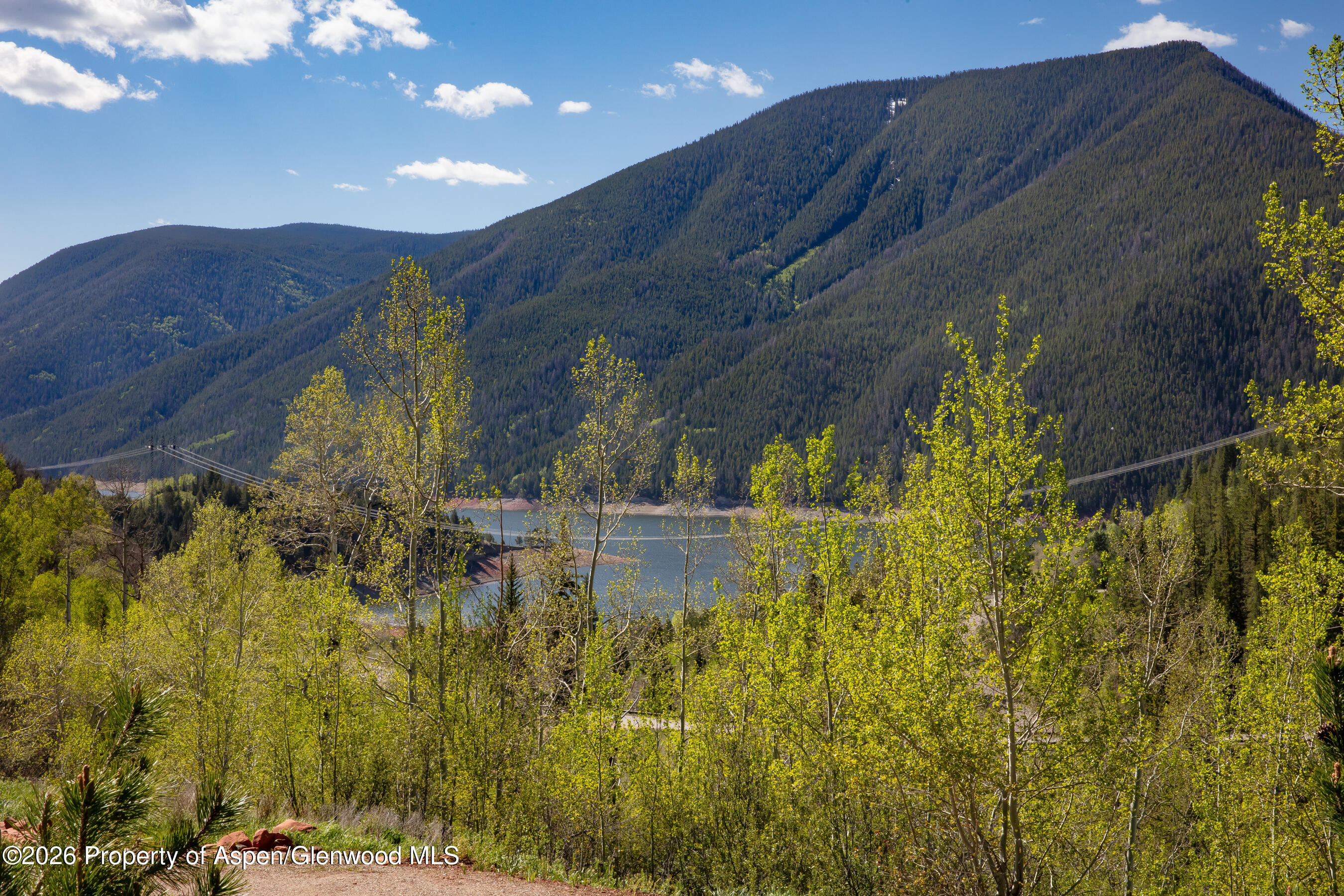 294 Ruedi Creek Road Basalt, CO 81621 - Photo 2 of 27 a view of swimming pool from a lake view