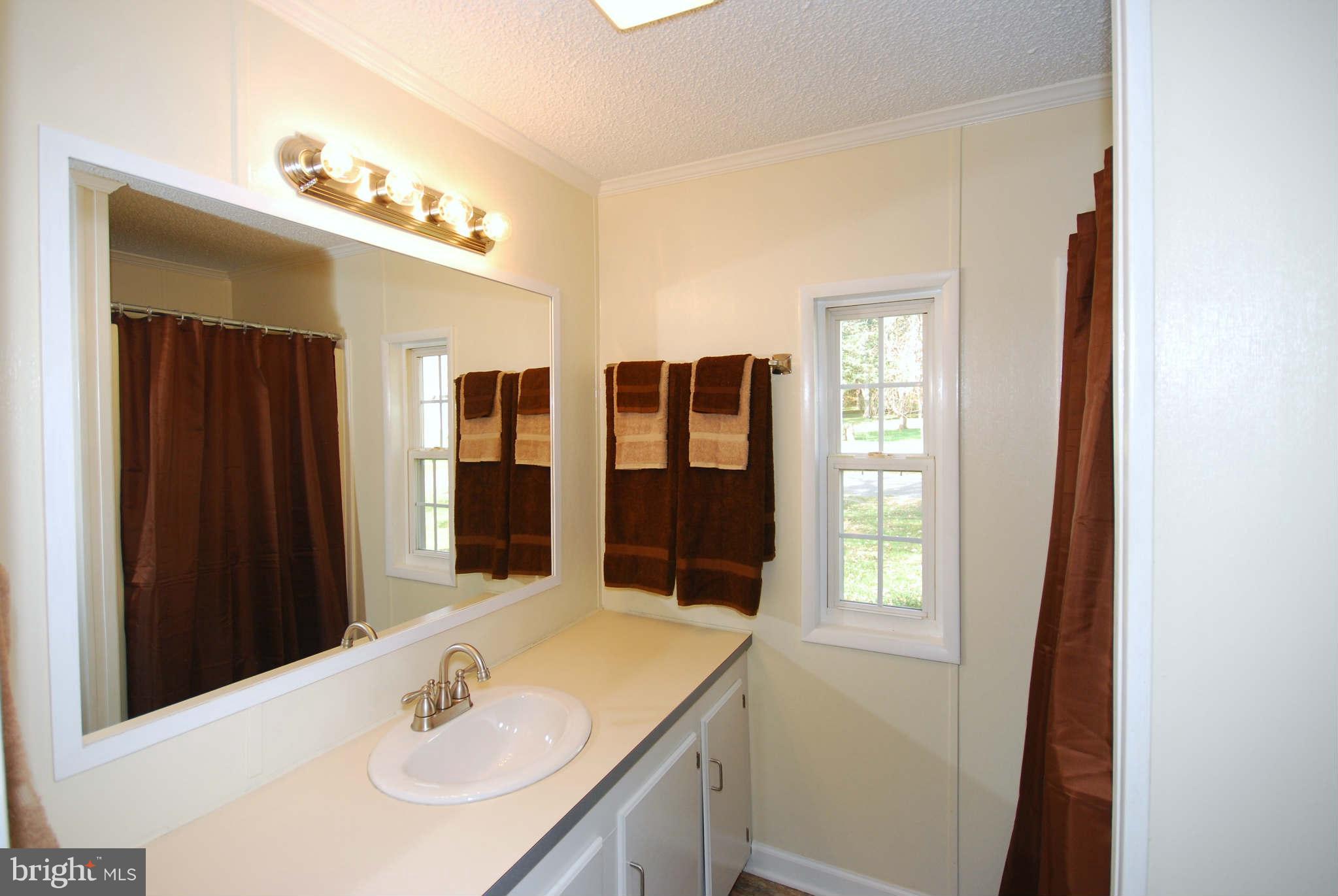 275 Bluff Road Strasburg, VA 22657 - Photo 21 of 26 Bath (Master)