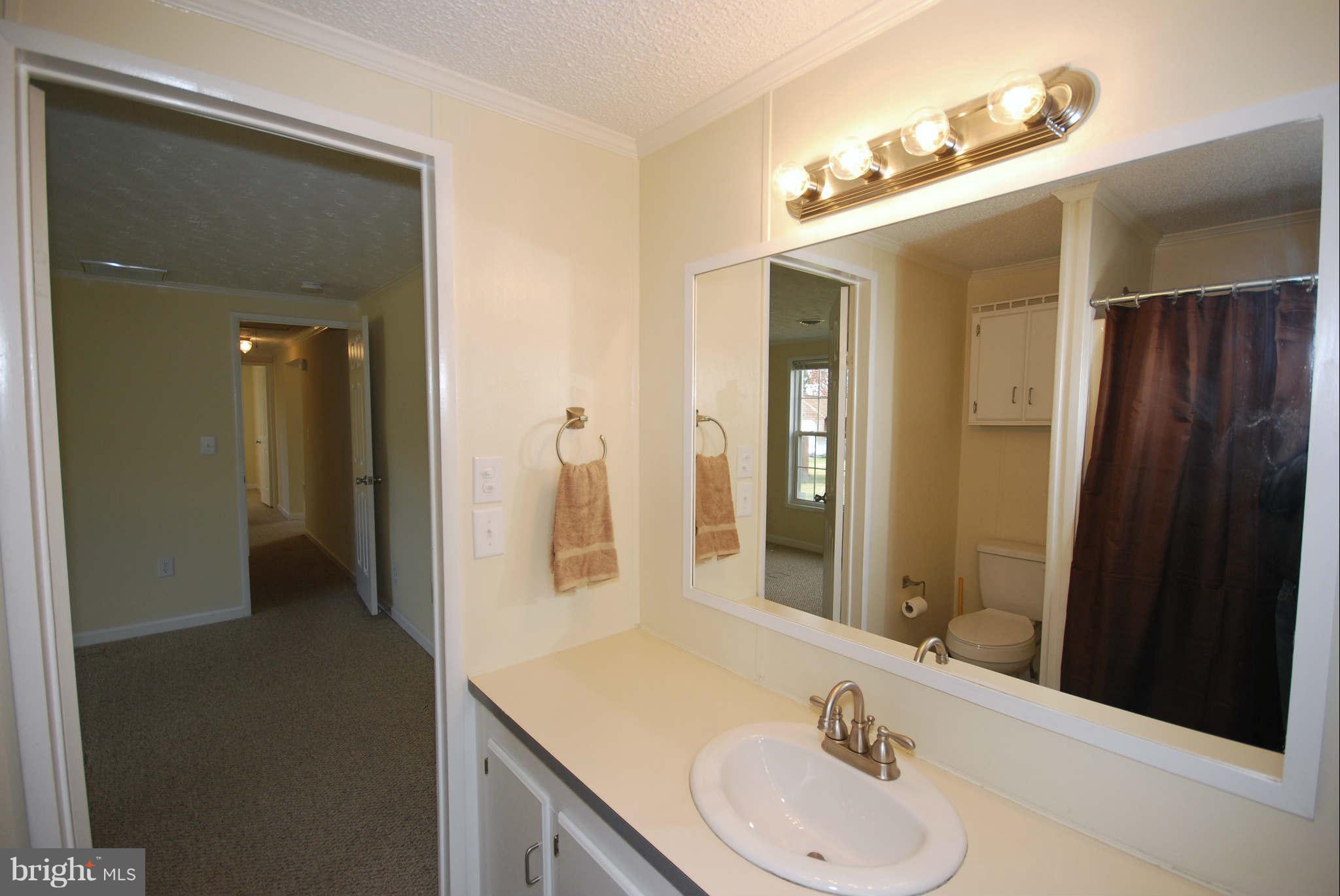 275 Bluff Road Strasburg, VA 22657 - Photo 22 of 26 Bath (Master)
