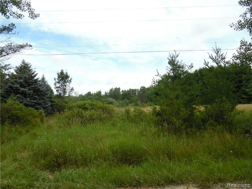 10 Casey Road Dryden, MI 48428 - Photo 1 of 2