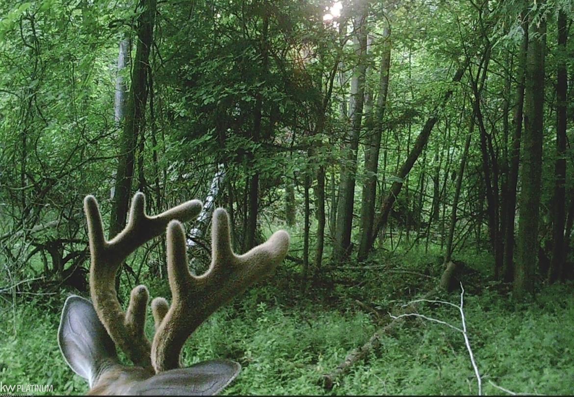 Rattle Run Road St. Clair, MI 48079 - Photo 10 of 11