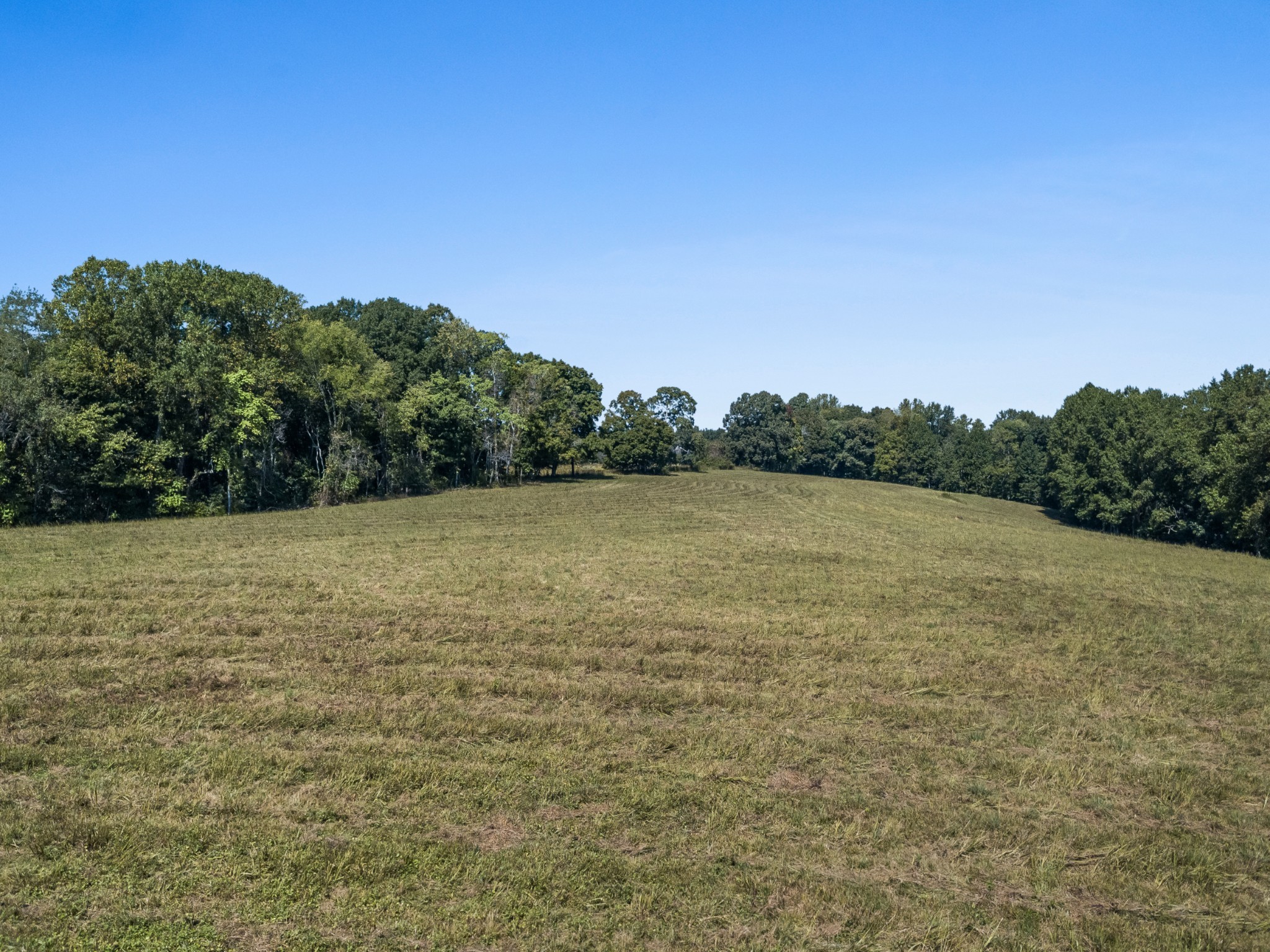 3 Albert Fentress Road Greenbrier, TN 37073 - Photo 58 of 59 Gallery Image 58