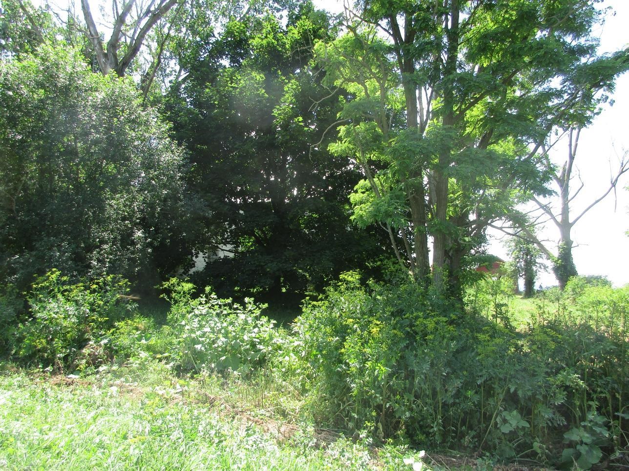 2290 Hemenway Hill Road Shoreham, VT 05770 - Photo 8 of 13