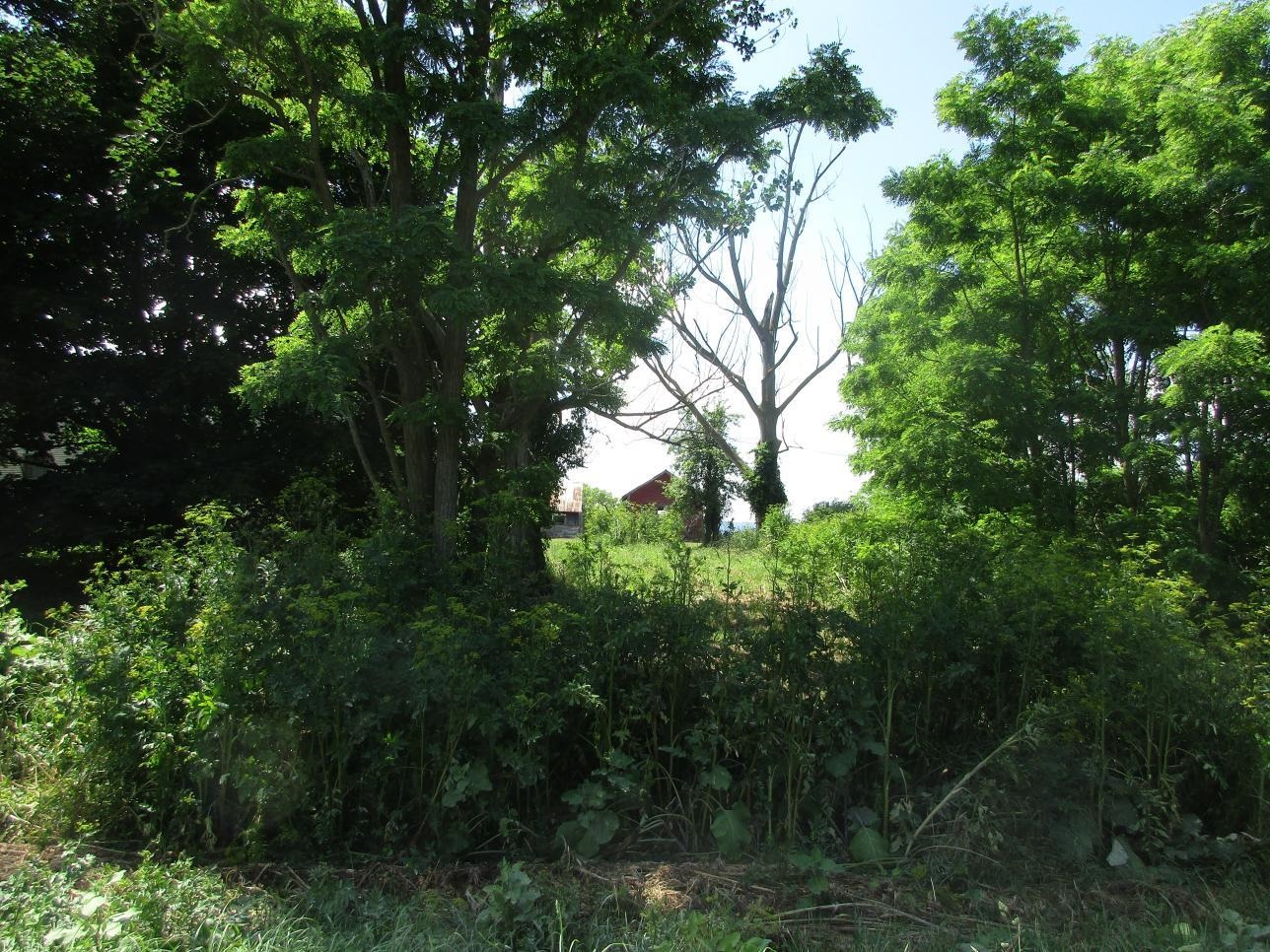 2290 Hemenway Hill Road Shoreham, VT 05770 - Photo 9 of 13