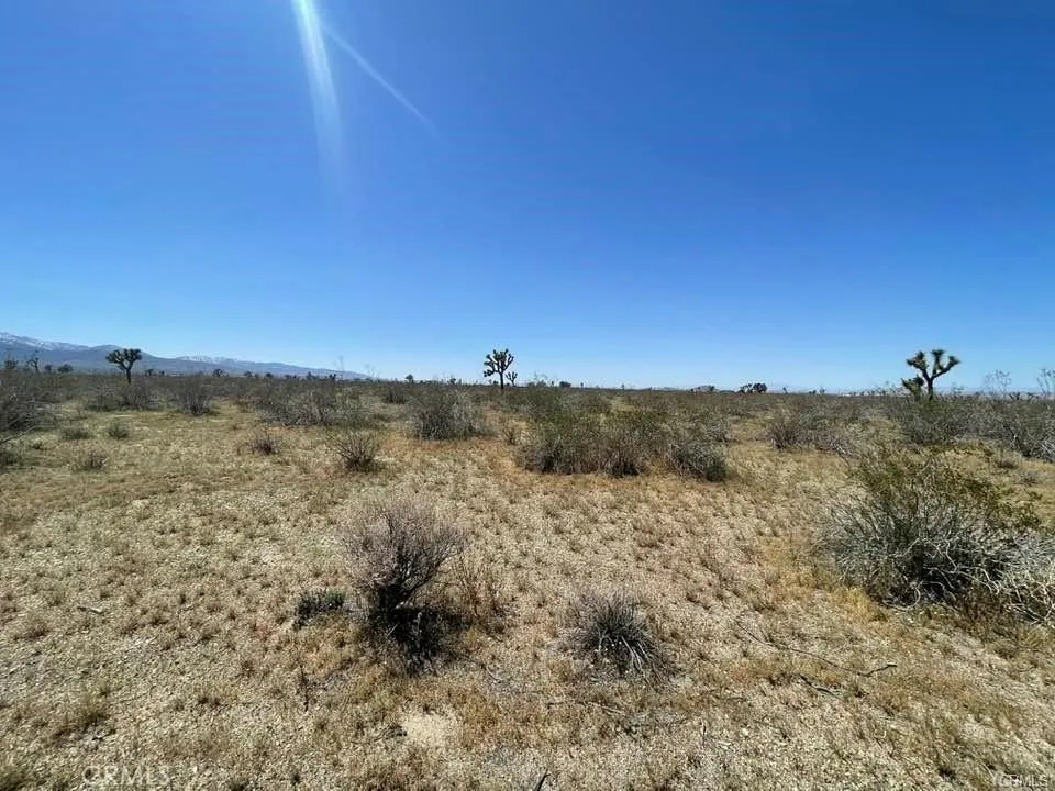 0 Dos Palmas Road Pinon Hills, CA 92372 - Photo 10 of 18
