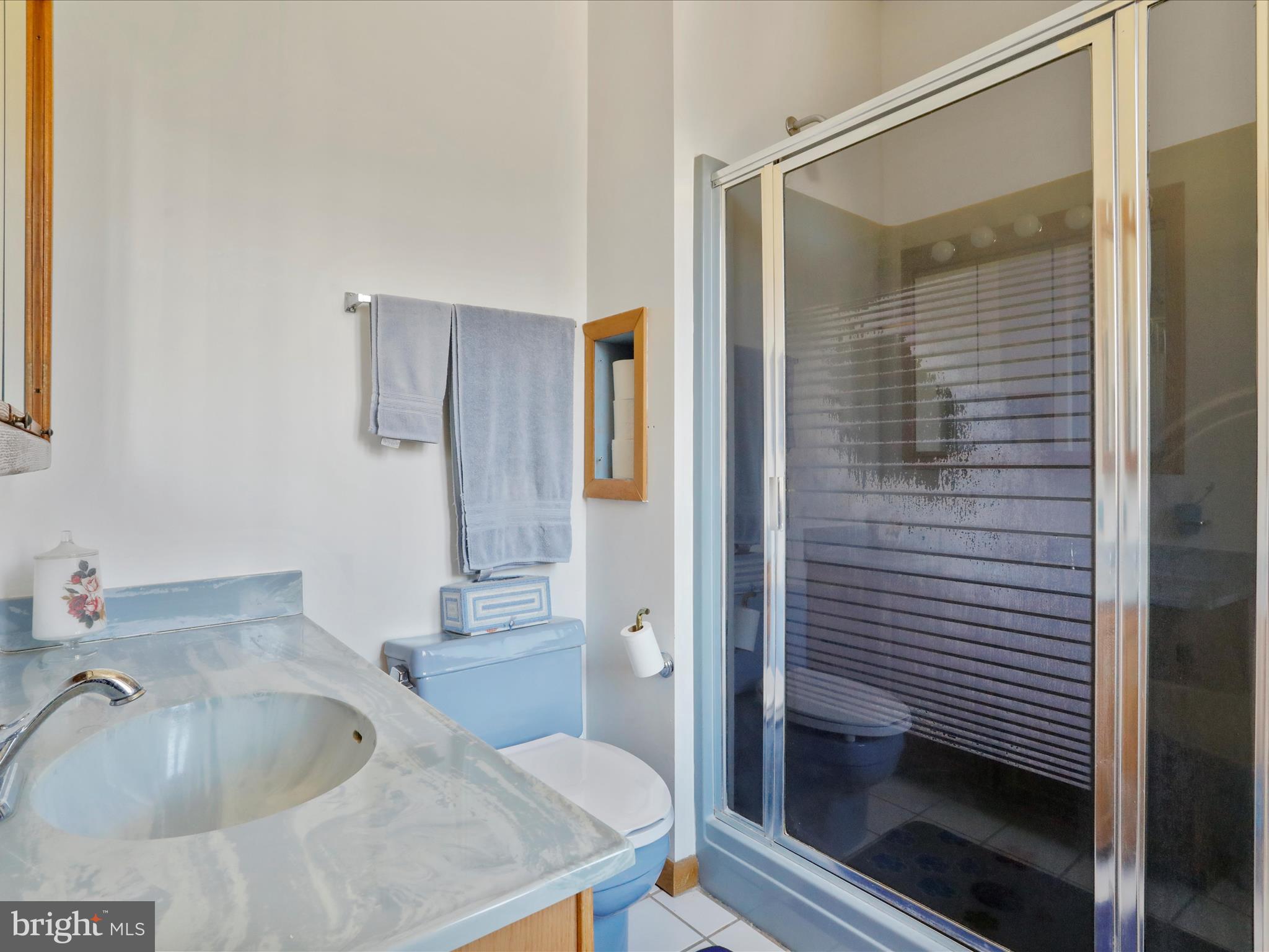 1639 Sugar Hill Road Maurertown, VA 22644 - Photo 21 of 57 Attached Primary Bathroom w/walk-in Shower