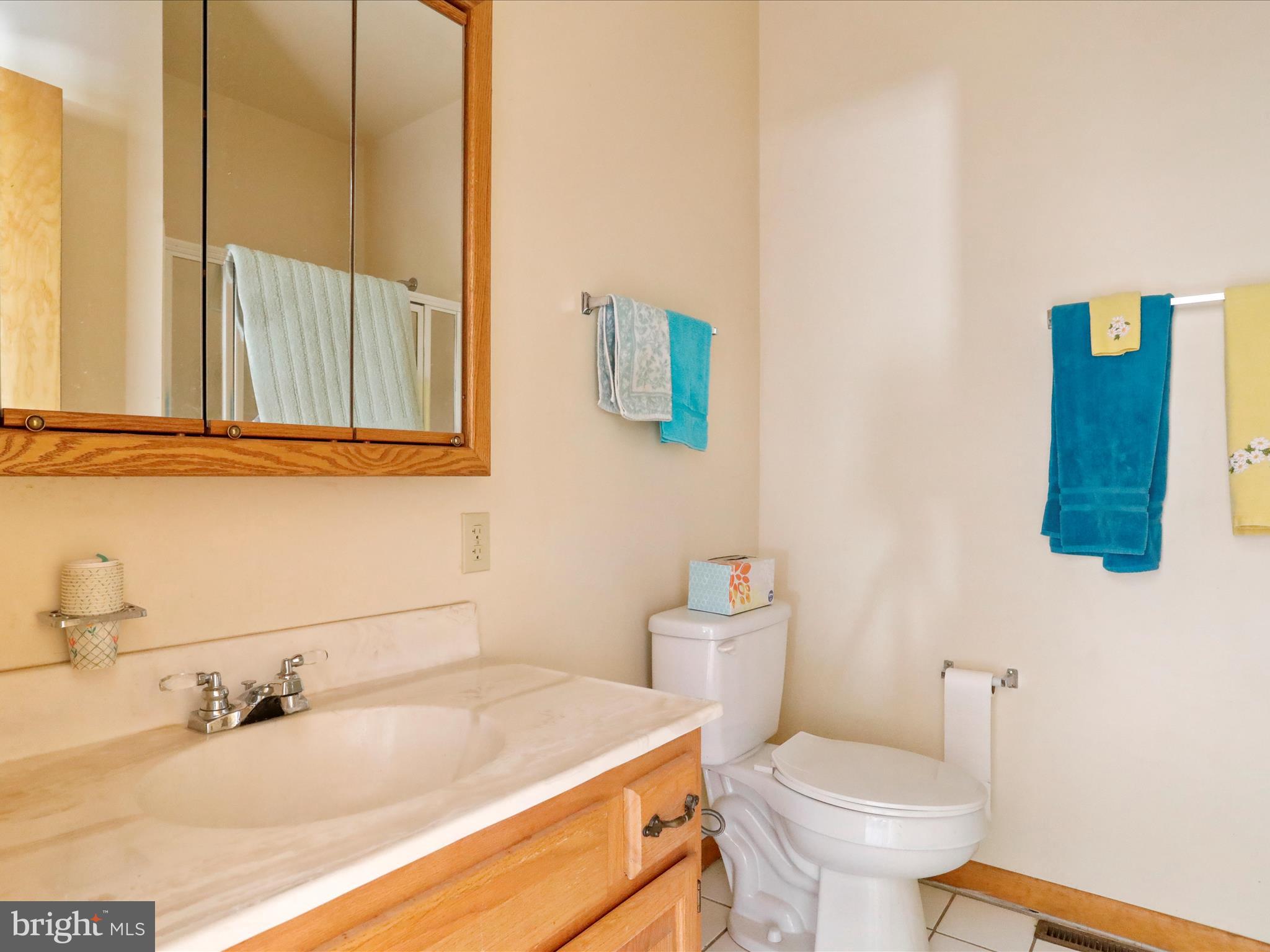 1639 Sugar Hill Road Maurertown, VA 22644 - Photo 34 of 57 a bathroom with a sink and a toilet