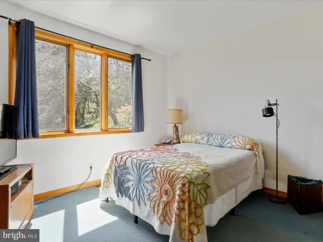 a view of backyard of house