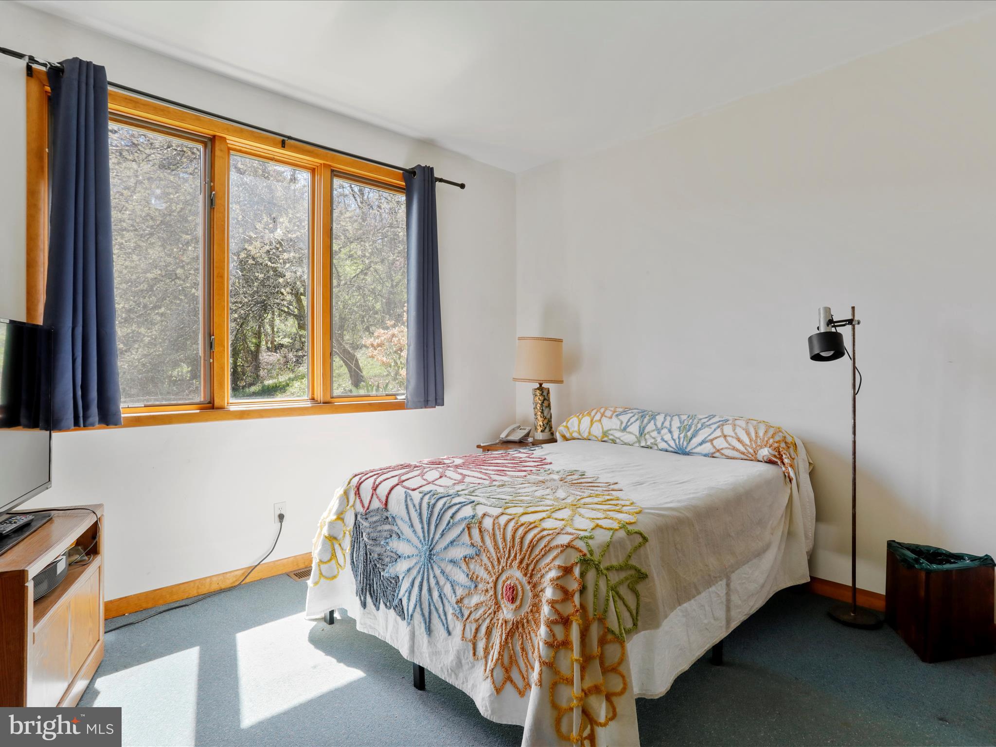 1639 Sugar Hill Road Maurertown, VA 22644 - Photo 35 of 57 a bedroom with a bed and a window