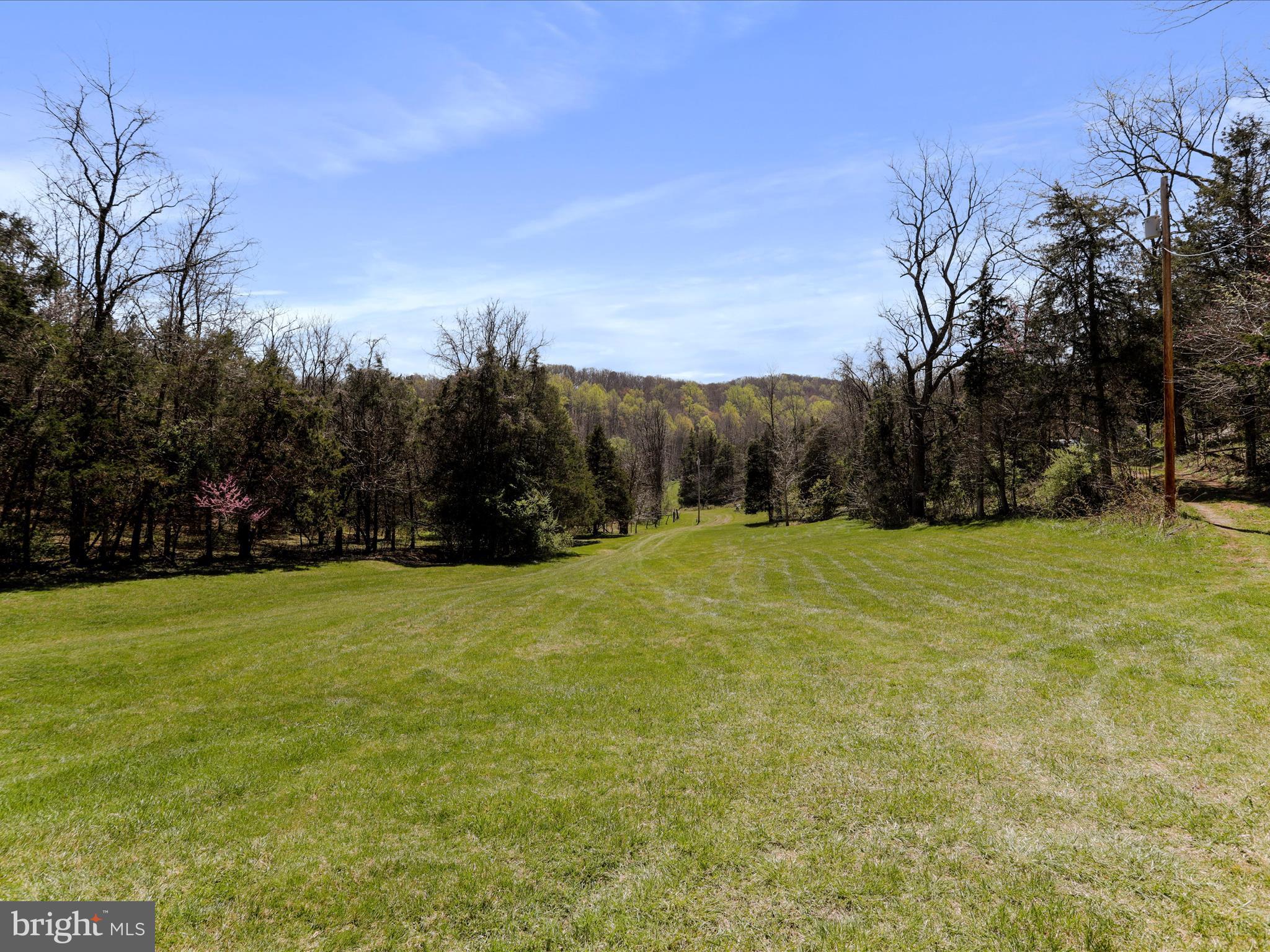1639 Sugar Hill Road Maurertown, VA 22644 - Photo 46 of 57 a view of outdoor space with mountain view
