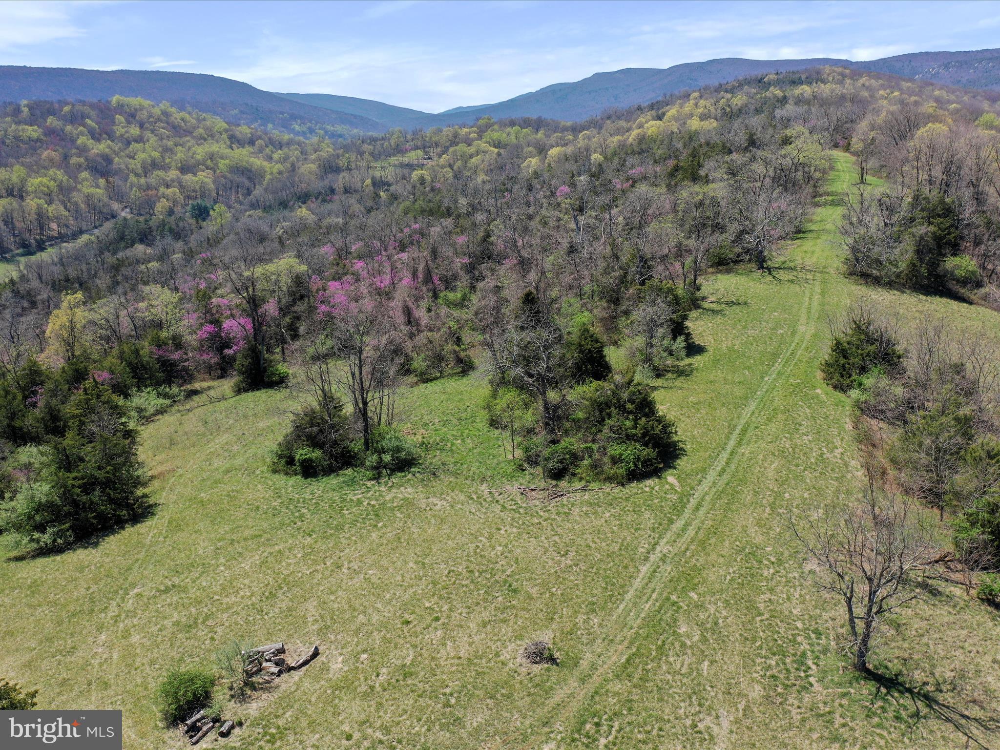 1639 Sugar Hill Road Maurertown, VA 22644 - Photo 48 of 57 Beautiful site to build another House