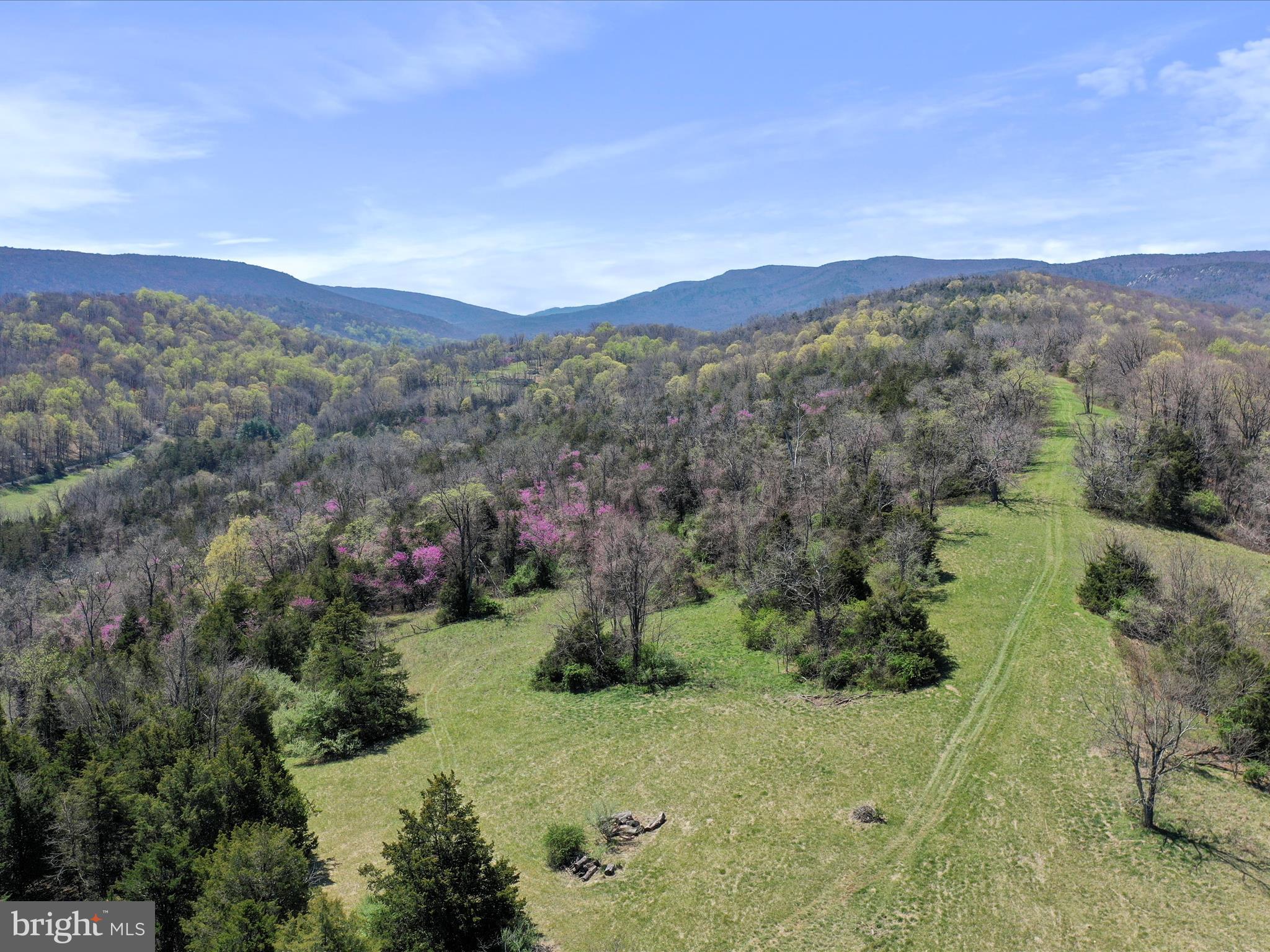1639 Sugar Hill Road Maurertown, VA 22644 - Photo 48 of 57 a view of a lush green hillside and a houses