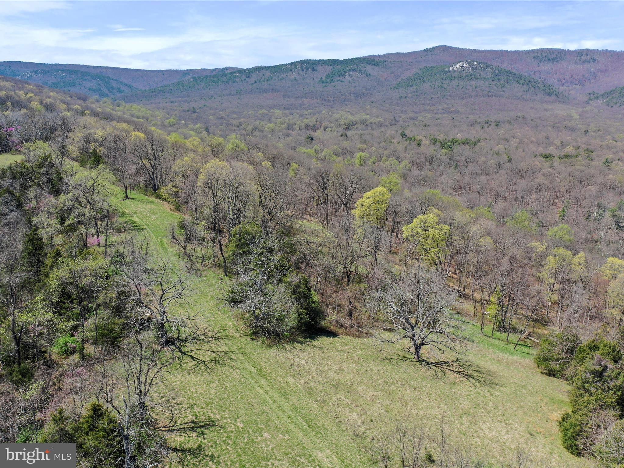 1639 Sugar Hill Road Maurertown, VA 22644 - Photo 51 of 57 Some of the Land at the back of the Property