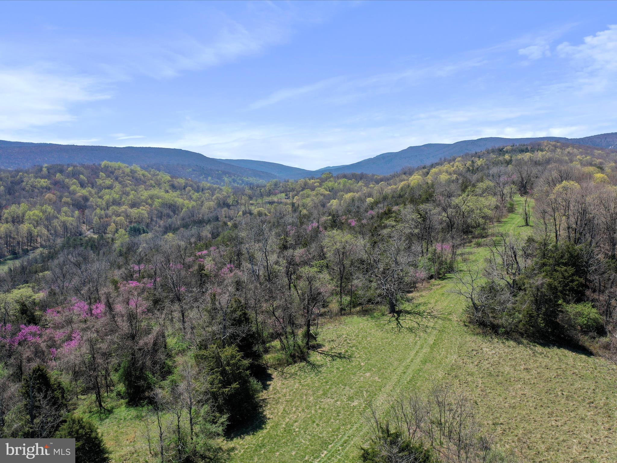 1639 Sugar Hill Road Maurertown, VA 22644 - Photo 51 of 57 a view of a lush green outdoor space with a swimming pool and valleys in the background