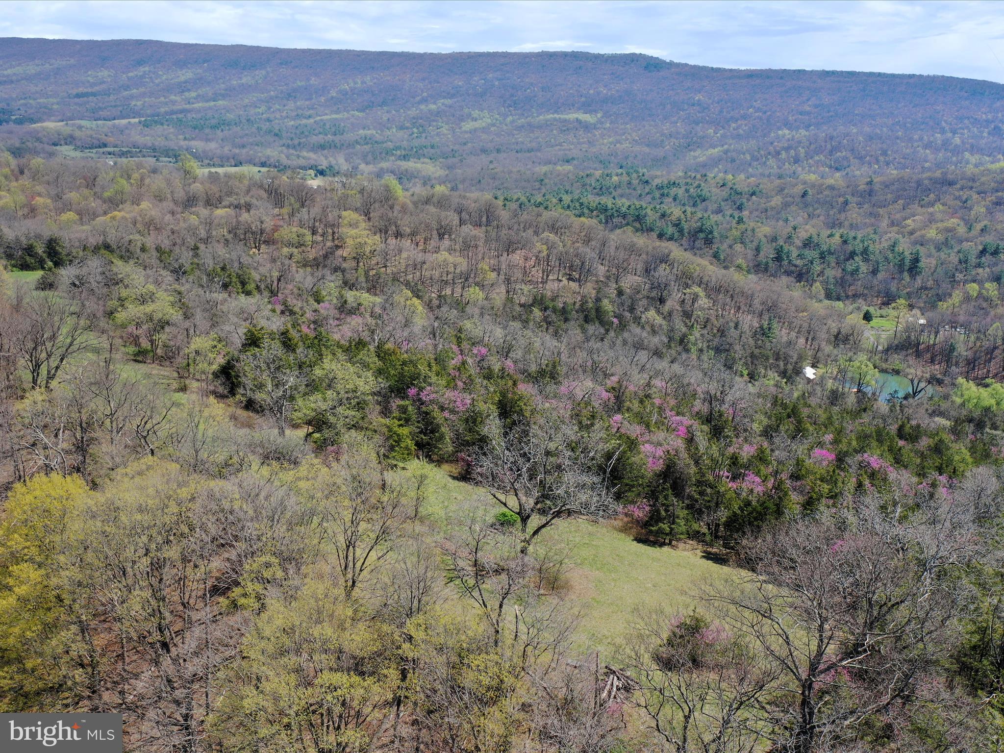 1639 Sugar Hill Road Maurertown, VA 22644 - Photo 53 of 57 Ariel Views