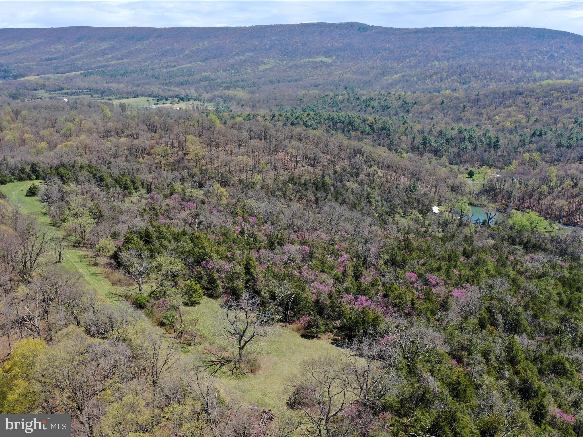 1639 Sugar Hill Road Maurertown, VA 22644 - Photo 55 of 57 Ariel Views of the Land