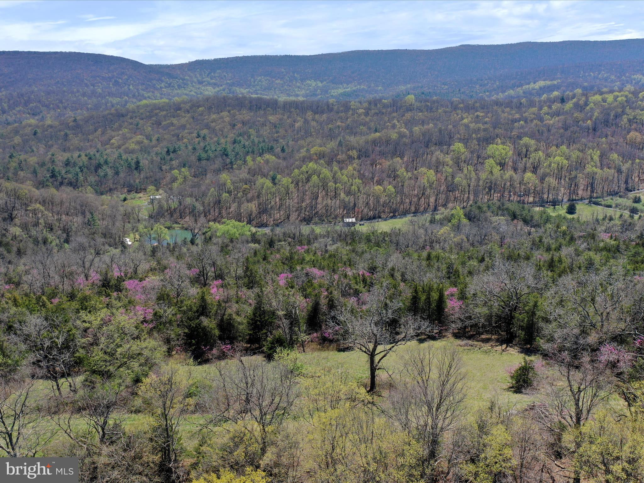 1639 Sugar Hill Road Maurertown, VA 22644 - Photo 57 of 57 a view of a mountain in the distance