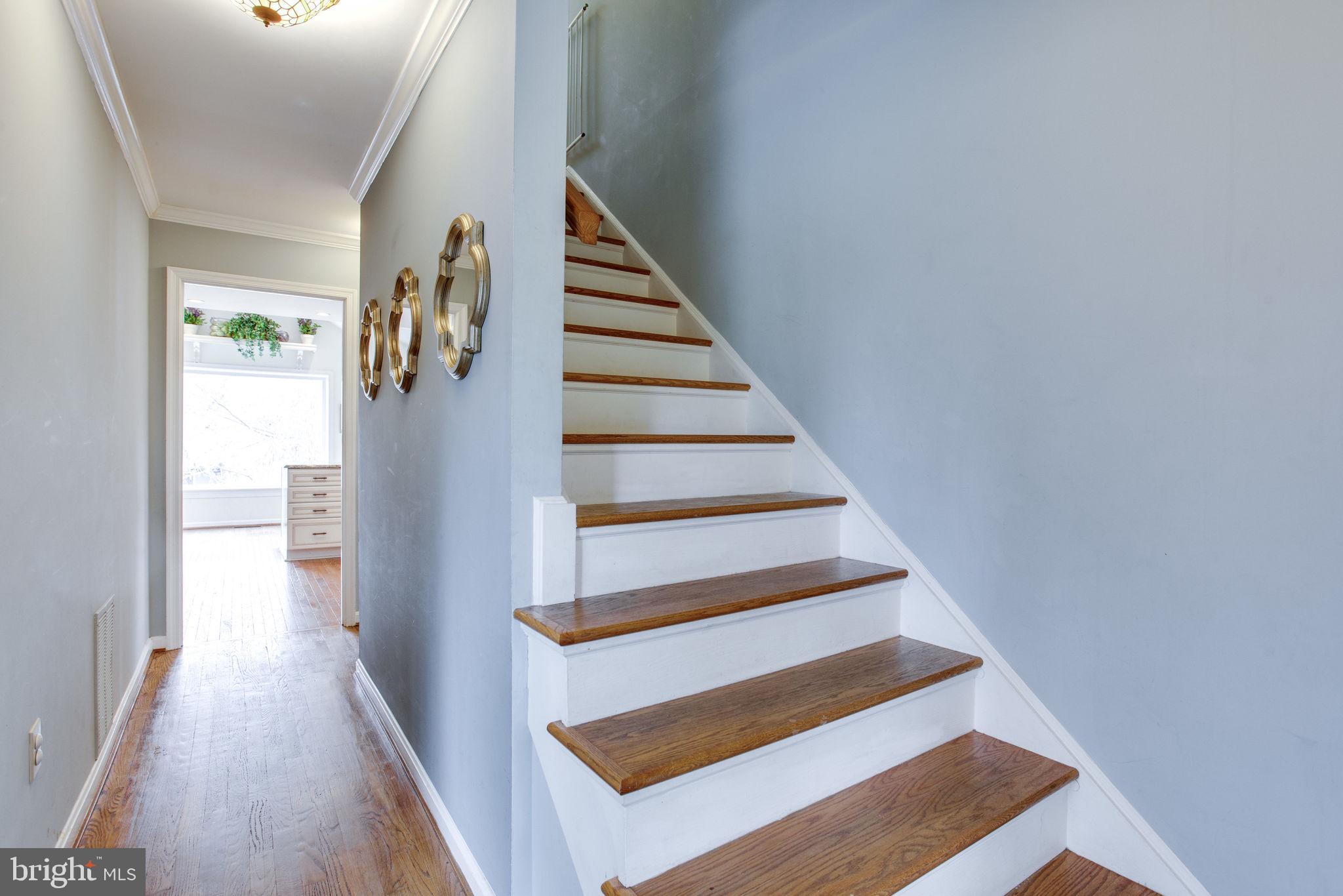 3329 Edgewood Road Kensington, MD 20895 - Photo 40 of 68 Gallery Image 40