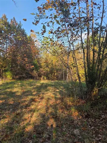 a view of a field with an trees