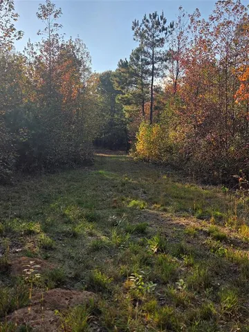 a view of outdoor space and trees
