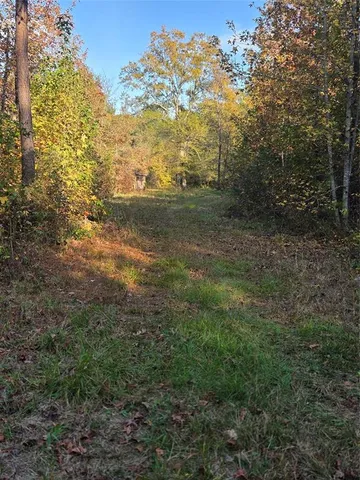 a view of a field with an trees