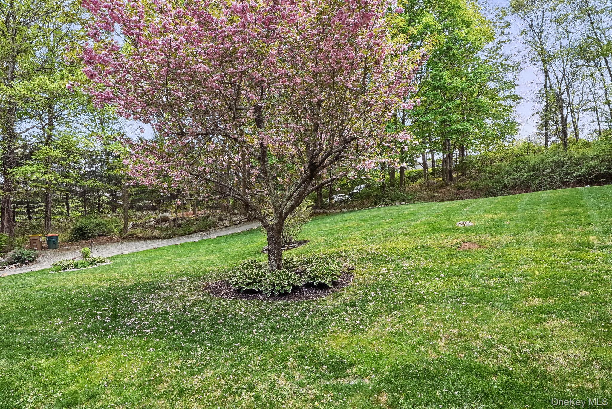 304 Church Road Putnam Valley, NY 10579 - Photo 37 of 50 View of green lawn