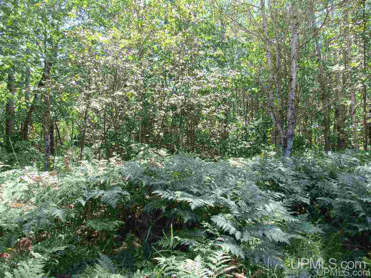 Tbd Point Abbaye Road Lanse, MI 49946 - Photo 15 of 16 Gallery Image 15