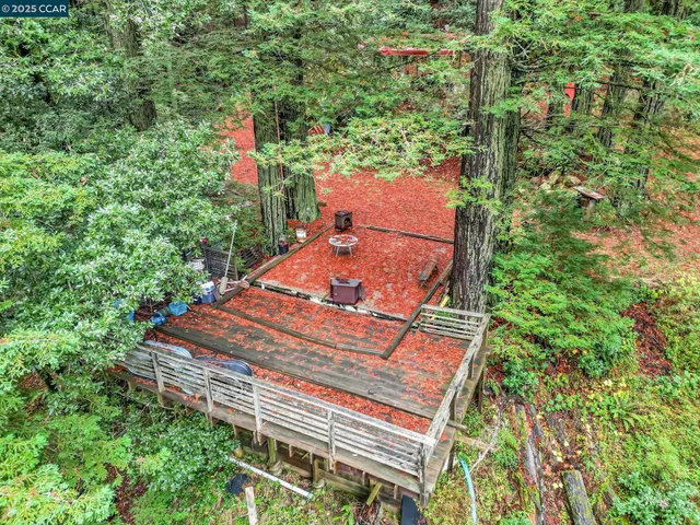 a view of a yard with plants