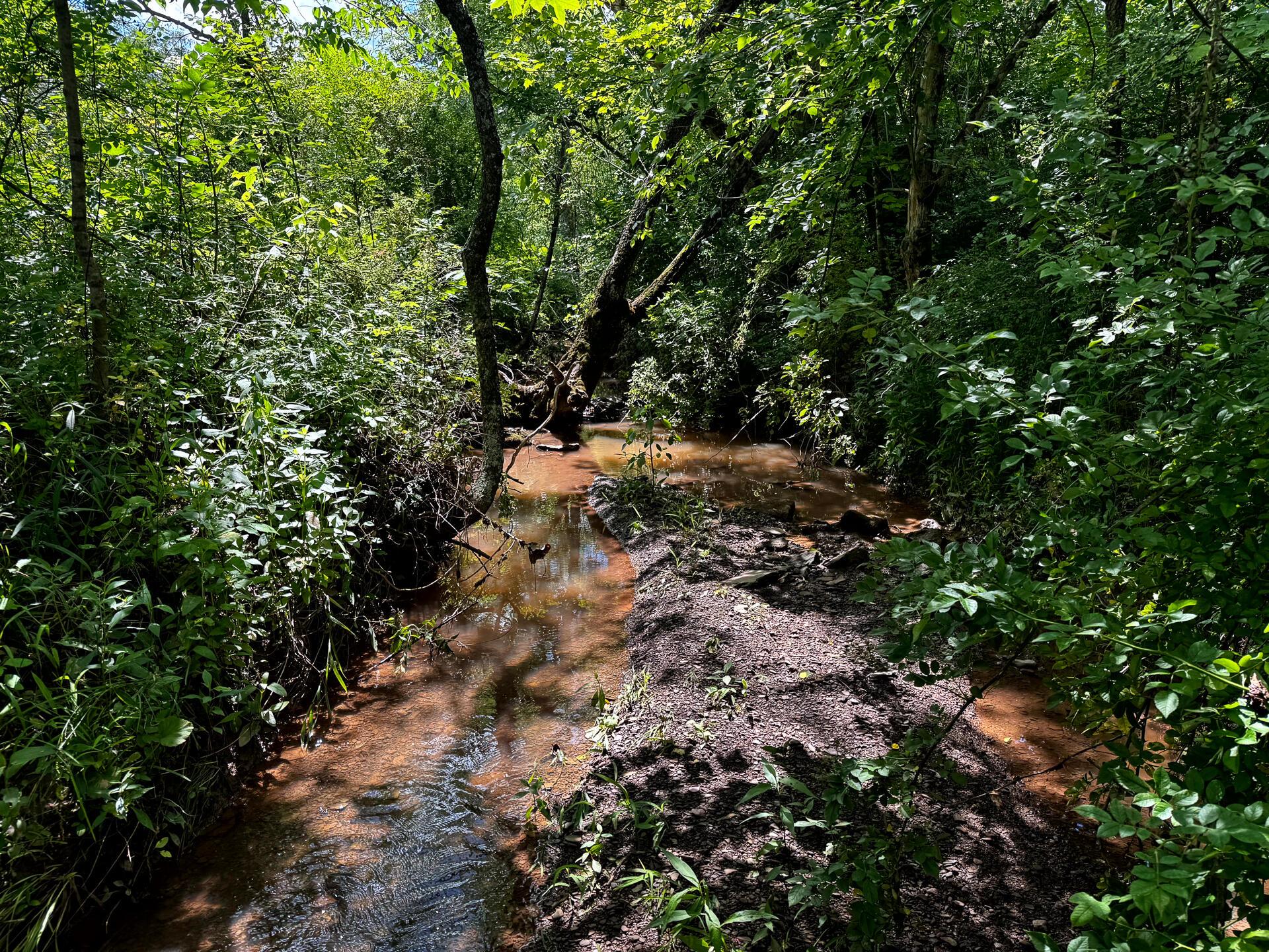 0 Barr Hollow Road, Unit OHIO RIVER RETREAT TRACT 3) Reedsville, OH 45772 - Photo 23 of 29 CT-23