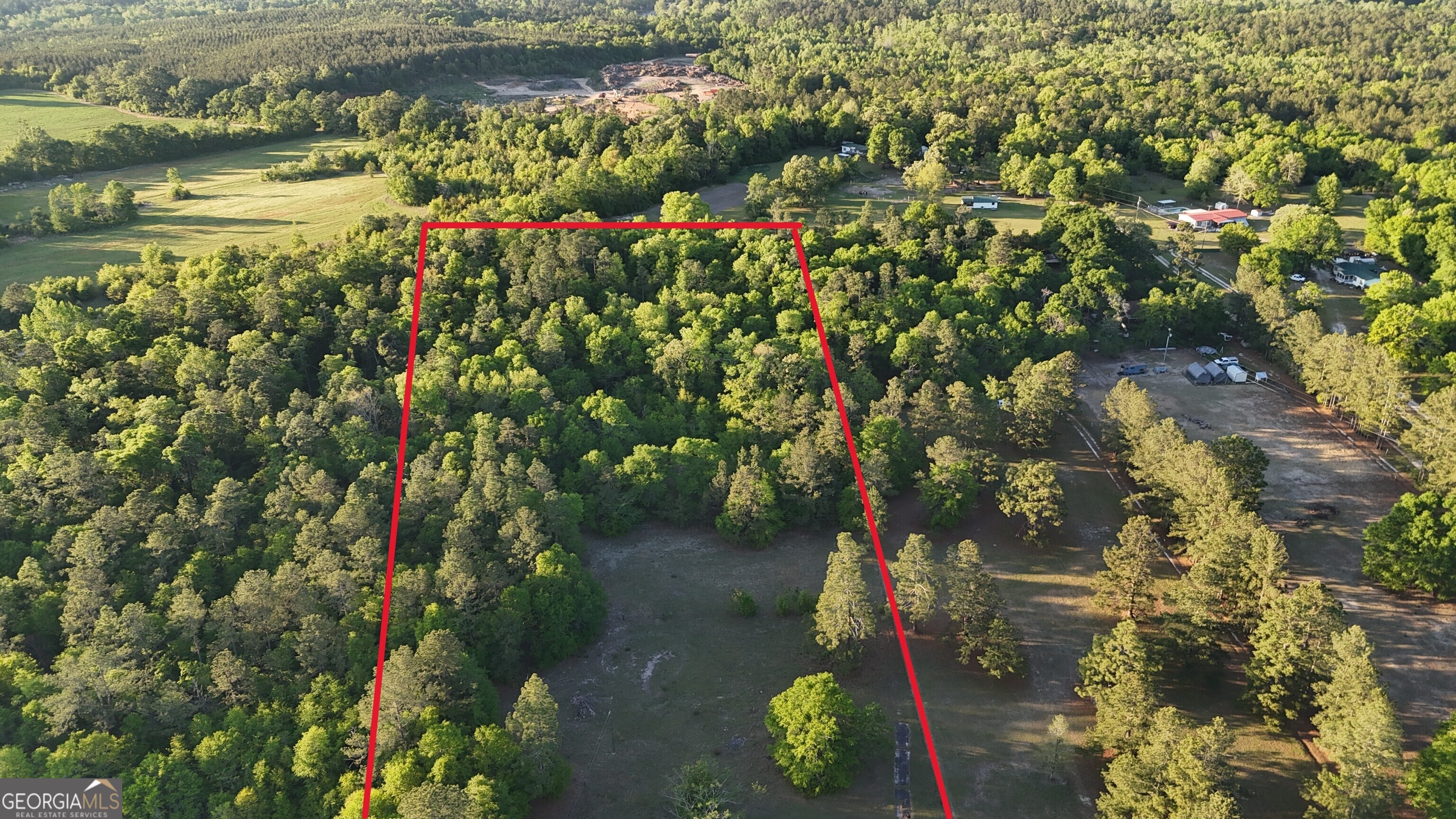 1045 Horseshoe Road Augusta, GA 30906 - Photo 11 of 16 a view of a lake with a tree