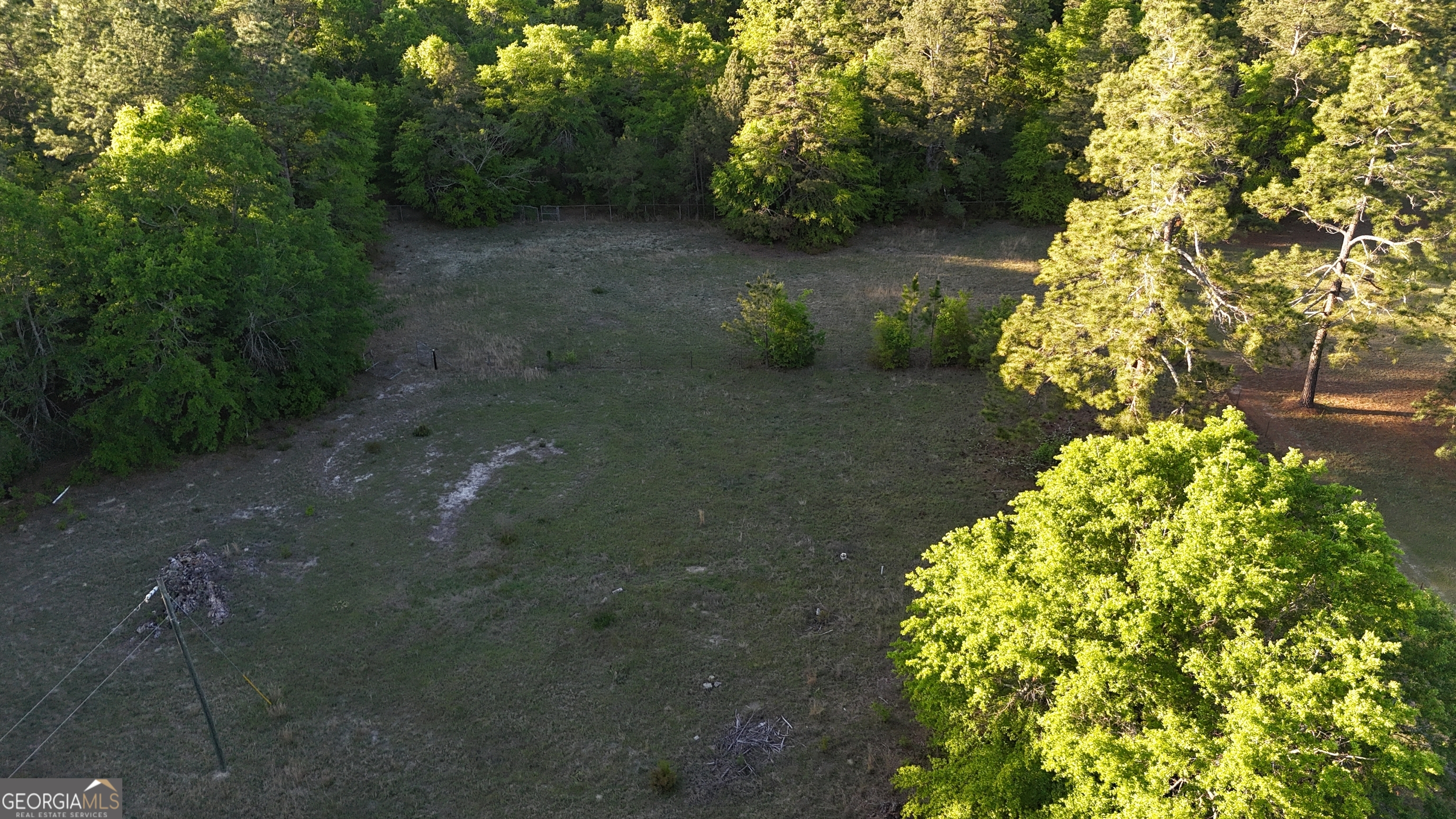 1045 Horseshoe Road Augusta, GA 30906 - Photo 12 of 16 a view of a garden with plants