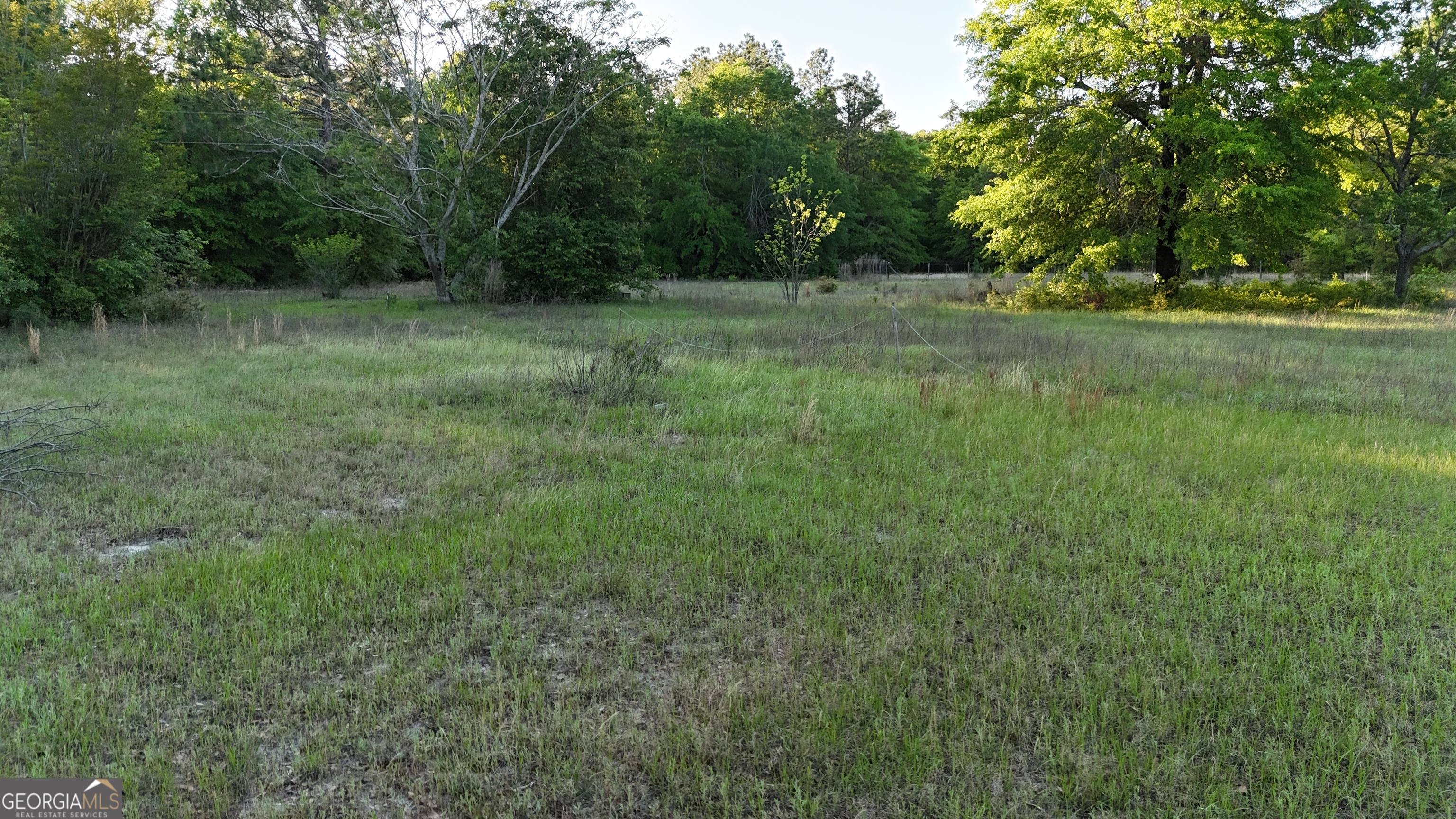 1045 Horseshoe Road Augusta, GA 30906 - Photo 13 of 16 a view of outdoor space with trees all around