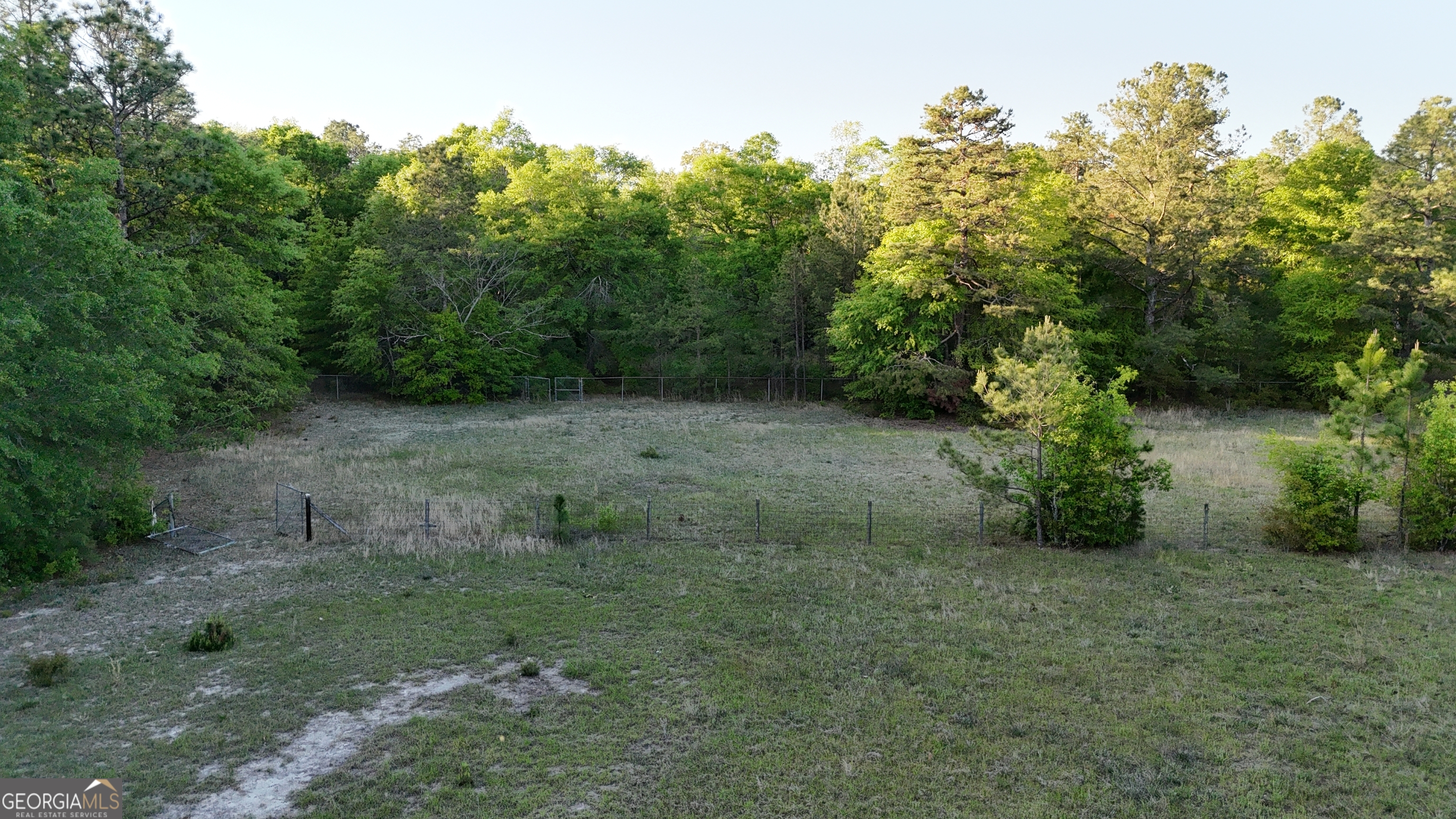 1045 Horseshoe Road Augusta, GA 30906 - Photo 14 of 16 a view of a big yard with plants and large trees