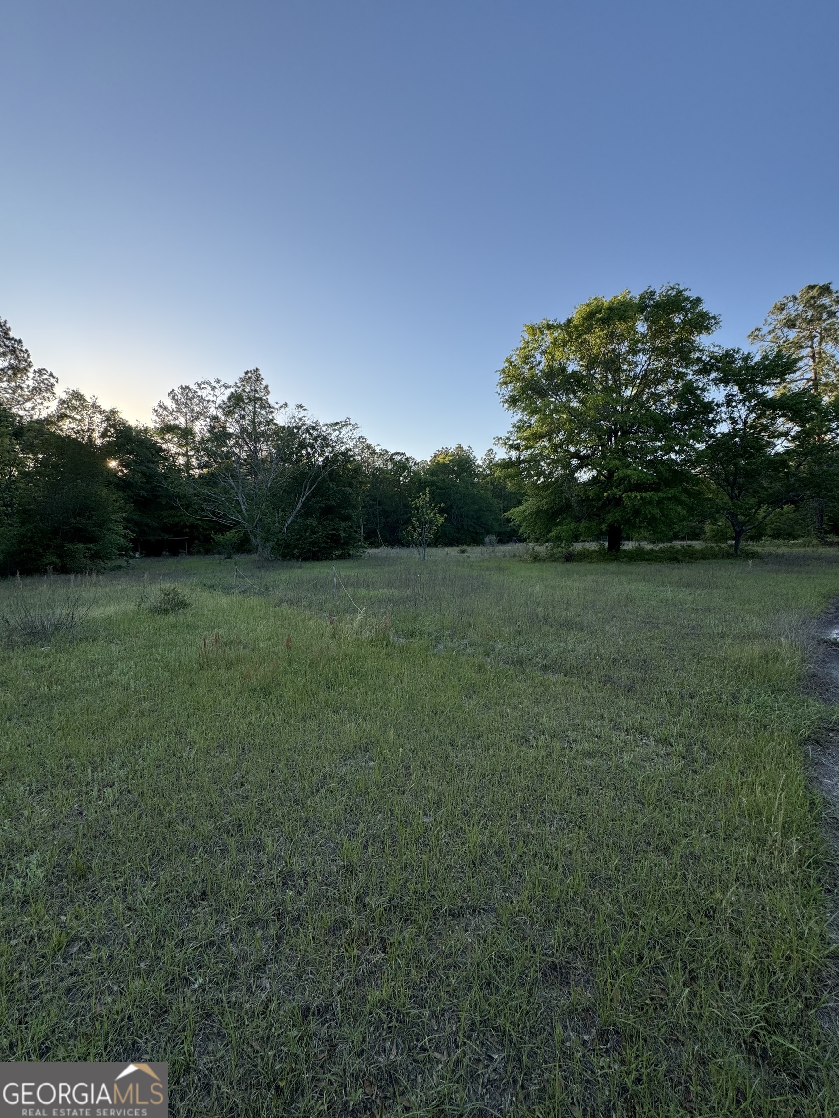 1045 Horseshoe Road Augusta, GA 30906 - Photo 6 of 16 a view of a grassy field