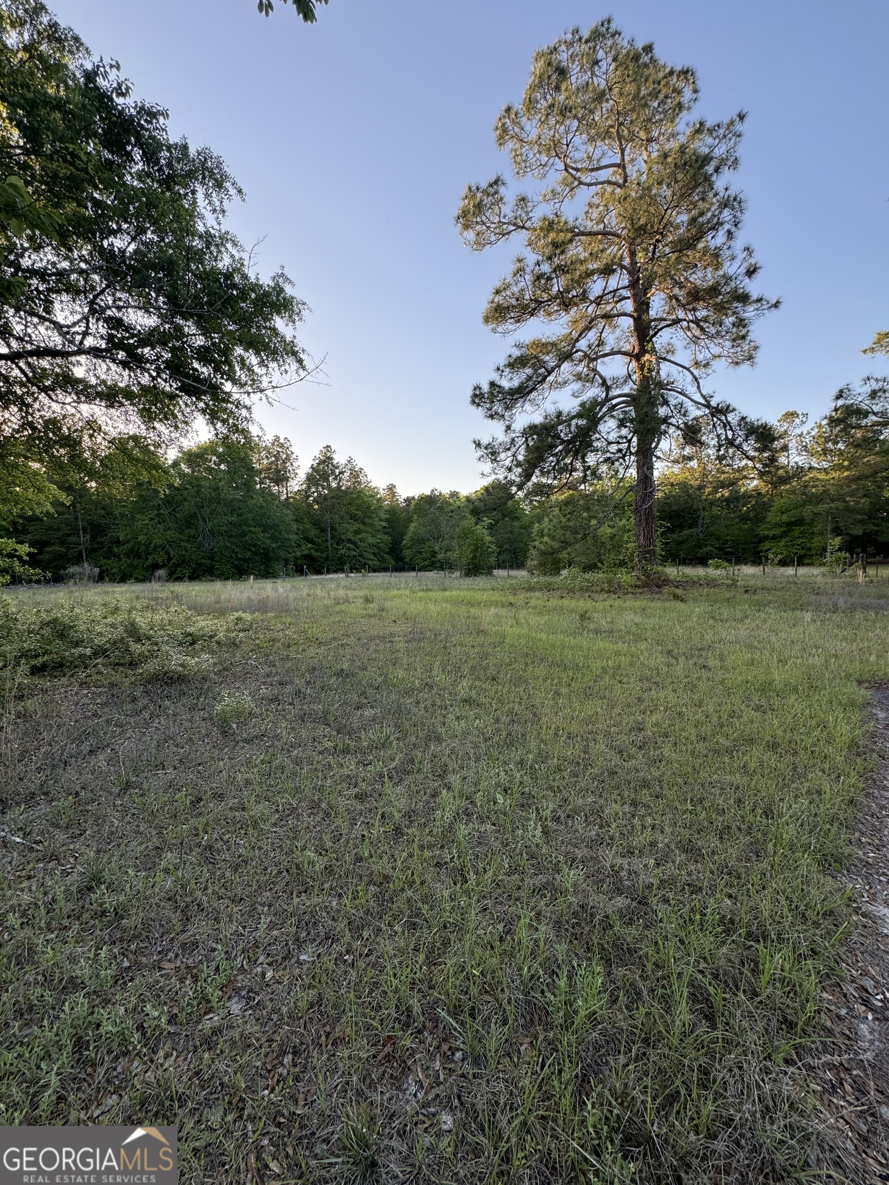 1045 Horseshoe Road Augusta, GA 30906 - Photo 8 of 16 a view of a field with trees in the background